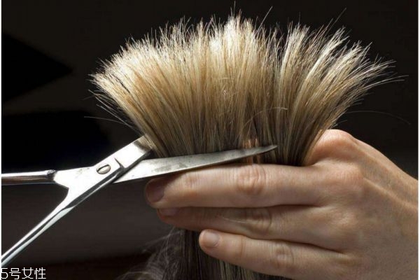 怎么保养发质怎么护理,修护发质的方法