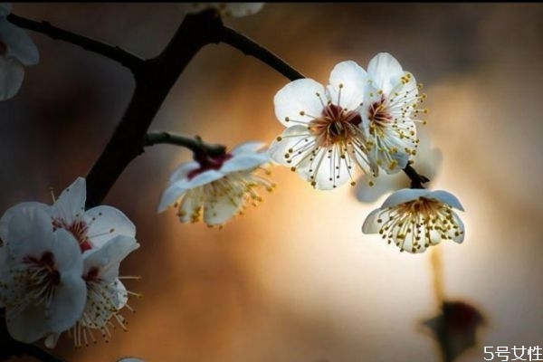 2021年什么人需要躲春什么属性躲,2021年什么人需要躲春可以睡觉吗