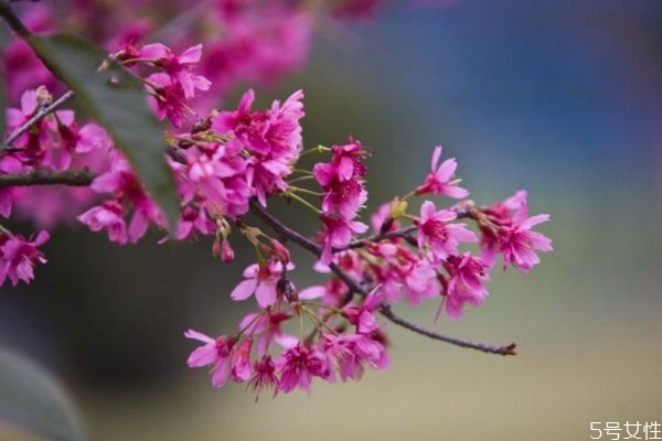 犯太岁立春这天有什么讲究,立春这天有什么讲究吗