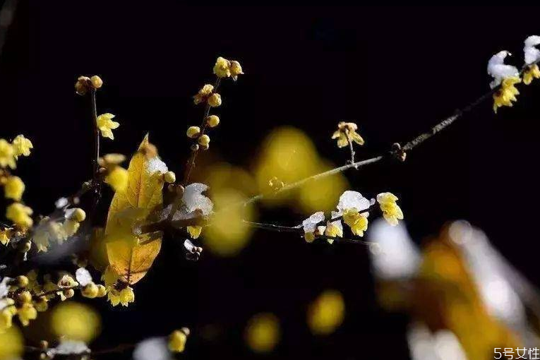 2021年躲太岁的时间和方法,2021年怎样躲太岁