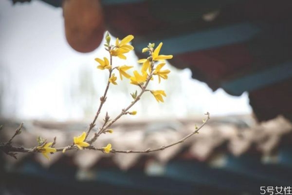 躲春躲几个小时2021,躲春躲几个小时