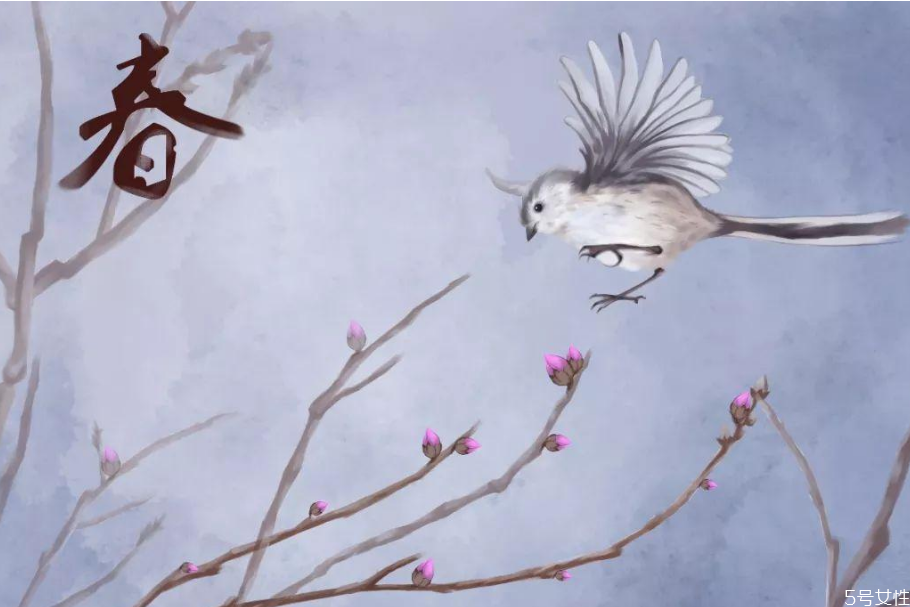 2021年立春躲春的禁忌属相,2021年立春躲春的禁忌