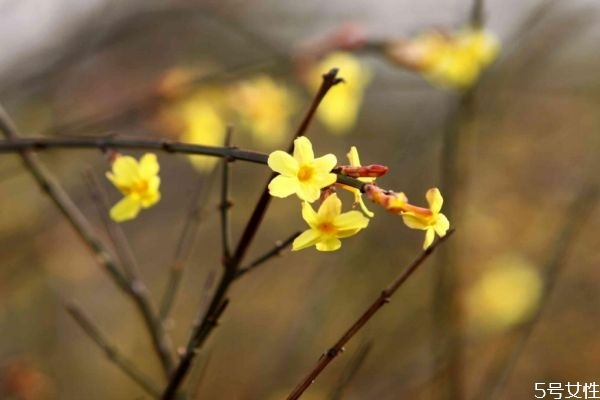 2022年立春怎么躲太岁,立春怎么躲太岁