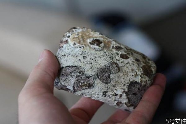 龙涎香是什么作用,龙涎香的功效和作用 龙涎香的功用