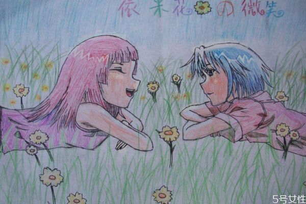 依米花是什么,依米花象征着什么