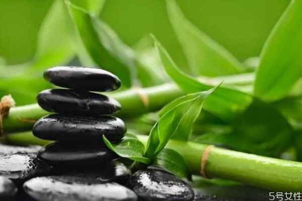 竹子的营养价值,竹子有啥营养