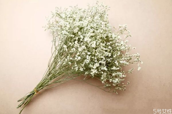 情人草好养吗,情人草长什么样