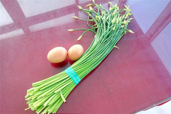 韭菜花哪些人不适合吃(什么人不能吃韭菜花)