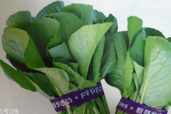 千宝菜有什么作用呢(千宝菜是什么菜)