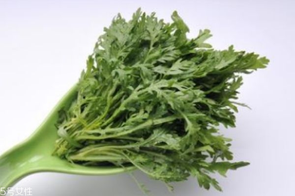 银丝菜生长环境是怎么样的呢(螺丝菜生长环境)