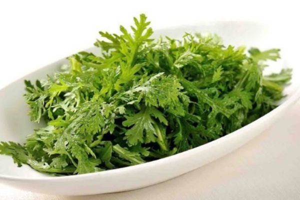 茼蒿生长在什么环境里呢(茼蒿的生长环境)