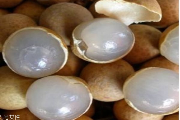 桂圆生长在什么环境里呢(桂圆的生长环境)