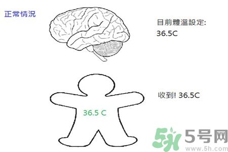 2、较大孩童发烧：(孩子发烧38℃以下)