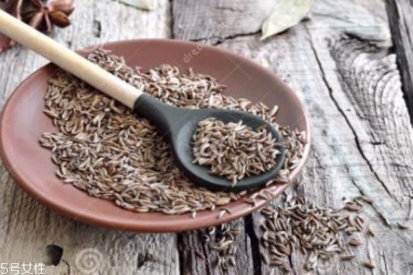 孕妇可以服用小茴香吗(孕妇可以吃小茴香)