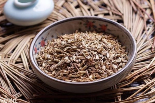 小茴香的生长环境是怎么样的呢(茴香的生长环境和温度)