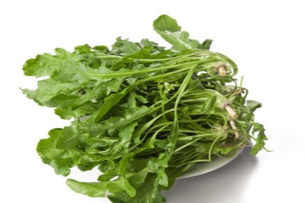 什么时候吃荠菜最好呢(荠菜啥时候吃最好) 什么时候吃荠菜最好呢(荠菜啥时候吃最好)