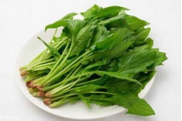 吃菠菜有什么注意事项呢(吃菠菜要注意什么)