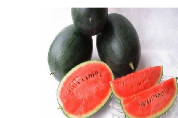 幼儿适合看什么书(婴幼儿书籍推荐必看的) 幼儿适合看什么书(婴幼儿书籍推荐必看的)