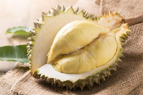 怎么看榴莲有没有坏(怎么看榴莲有没有坏掉)