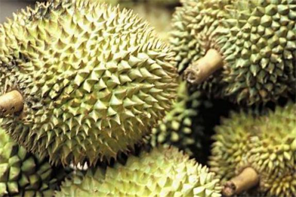 榴莲壳怎么煮汤(榴莲壳煲汤的做法大全)