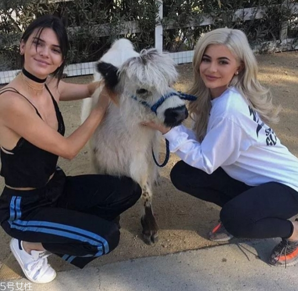 烫发水为什么烫不卷(烫发为啥烫的不卷) 烫发水为什么烫不卷(烫发为啥烫的不卷)