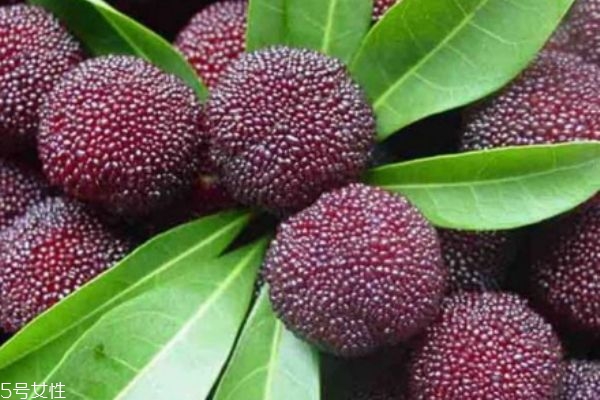 杨梅可以怎么吃呢(杨梅怎样吃) 杨梅可以怎么吃呢(杨梅怎样吃)