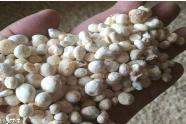 半夏主要产自哪里呢(半夏产地,半夏主产地在哪里?)