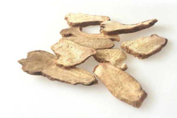 白术生长在什么环境下呢(白术的生长环境)