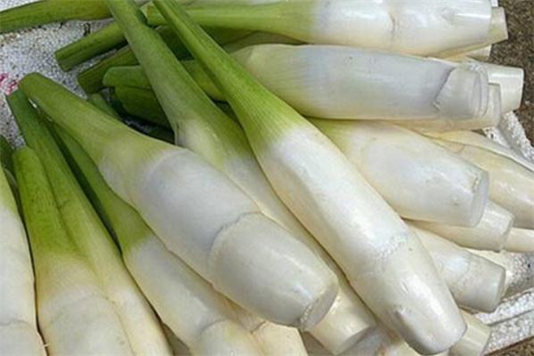 茭白一次吃多少合适(茭白什么时候吃最好)