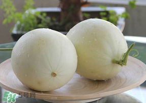 甜瓜的食用方法法,甜瓜的食用方法