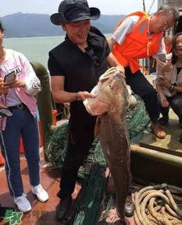 金钱鳘为什么那么贵,金钱到底有多值钱 金钱鳘为什么那么贵,金钱到底有多值钱