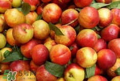 孕妇能吃油桃吗?,孕妇能吃油桃吗前三个月