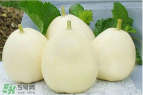 水果能带上飞机吗?,水果能够带上飞机吗 水果能带上飞机吗?,水果能够带上飞机吗