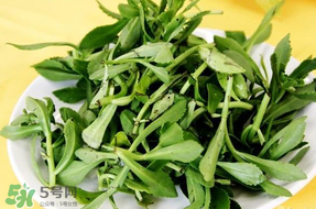 养心菜怎么吃最好,养心菜