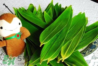 包粽子的是什么叶子,包粽子的叶子有哪几种