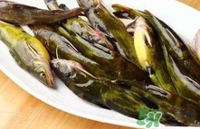 嘎鱼是什么鱼是海鱼吗,鲽鱼是什么鱼