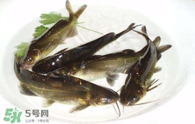 黄辣丁怎么处理的干净,黄辣丁怎么处理粘液