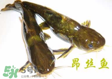黄颡鱼不能和什么同吃,黄颡鱼可以吃吗