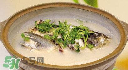 生鱼汤的做法和功效和禁忌,生鱼汤的做法和功效手术后