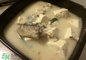 豆腐可以和黑鱼一起吃吗,黑豆和鱼能一起吃吗