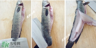 黑鱼怎样切鱼片,黑鱼怎么片鱼片