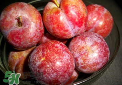 三华李孕妇能吃吗,孕妇可以吃三华李吗 三华李孕妇能吃吗,孕妇可以吃三华李吗