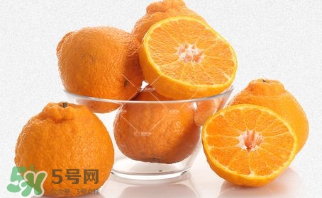 丑八怪和橘子的区别,丑橘和丑八怪的区别