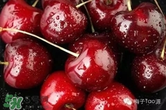 樱桃是车厘子,大樱桃和车厘子区别