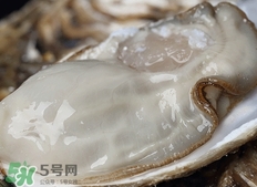 男人吃生蚝的好处和功效和作用,男人吃生蚝的好处和坏处 男人吃生蚝的好处和功效和作用,男人吃生蚝的好处和坏处