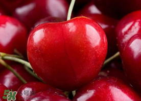 新鲜樱桃能放多久,樱桃能放多长时间