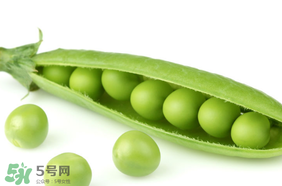 豌豆的营养价值和食用功效,豌豆的营养价值和功效及禁忌