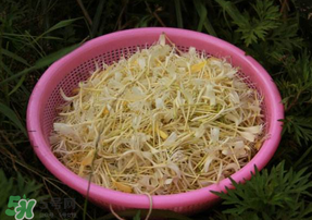 金银花摘下来怎么处理保存,金银花摘下来怎么处理才能泡水喝吗