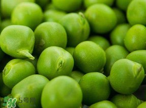 豌豆怎么快速剥壳,豌豆怎么剥皮 豌豆怎么快速剥壳,豌豆怎么剥皮