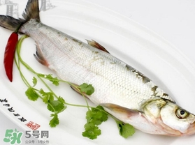 白条鱼怎么做好吃,白条鱼可以怎么吃
